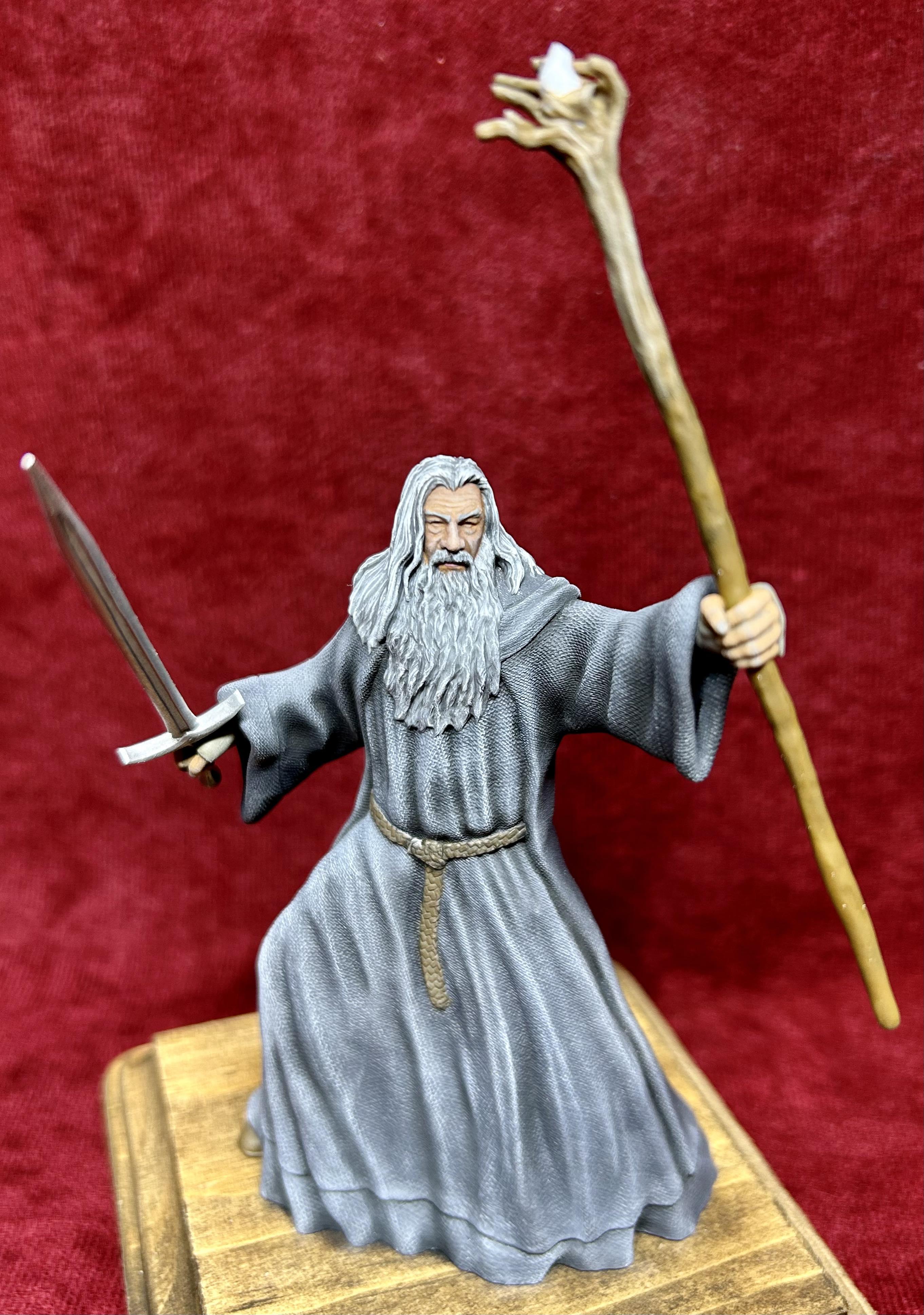 Gandalf the Grey
          Fighter